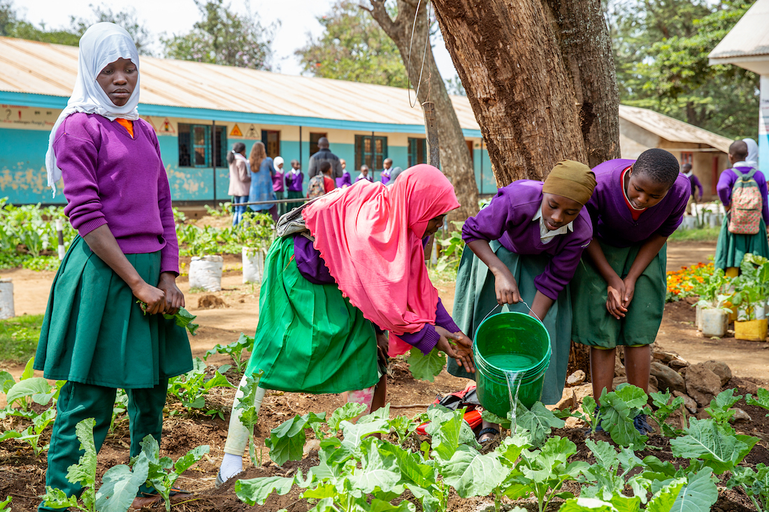 School children watering the garden with green buket