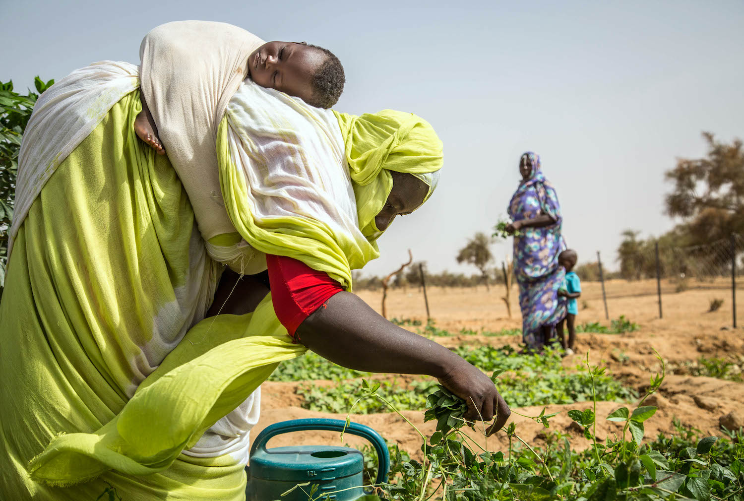 A woman works with her child on her back in a vegetable patch in Tokomadji, Mauritania in July 2020. | Raphael Pouget/UNICEF
