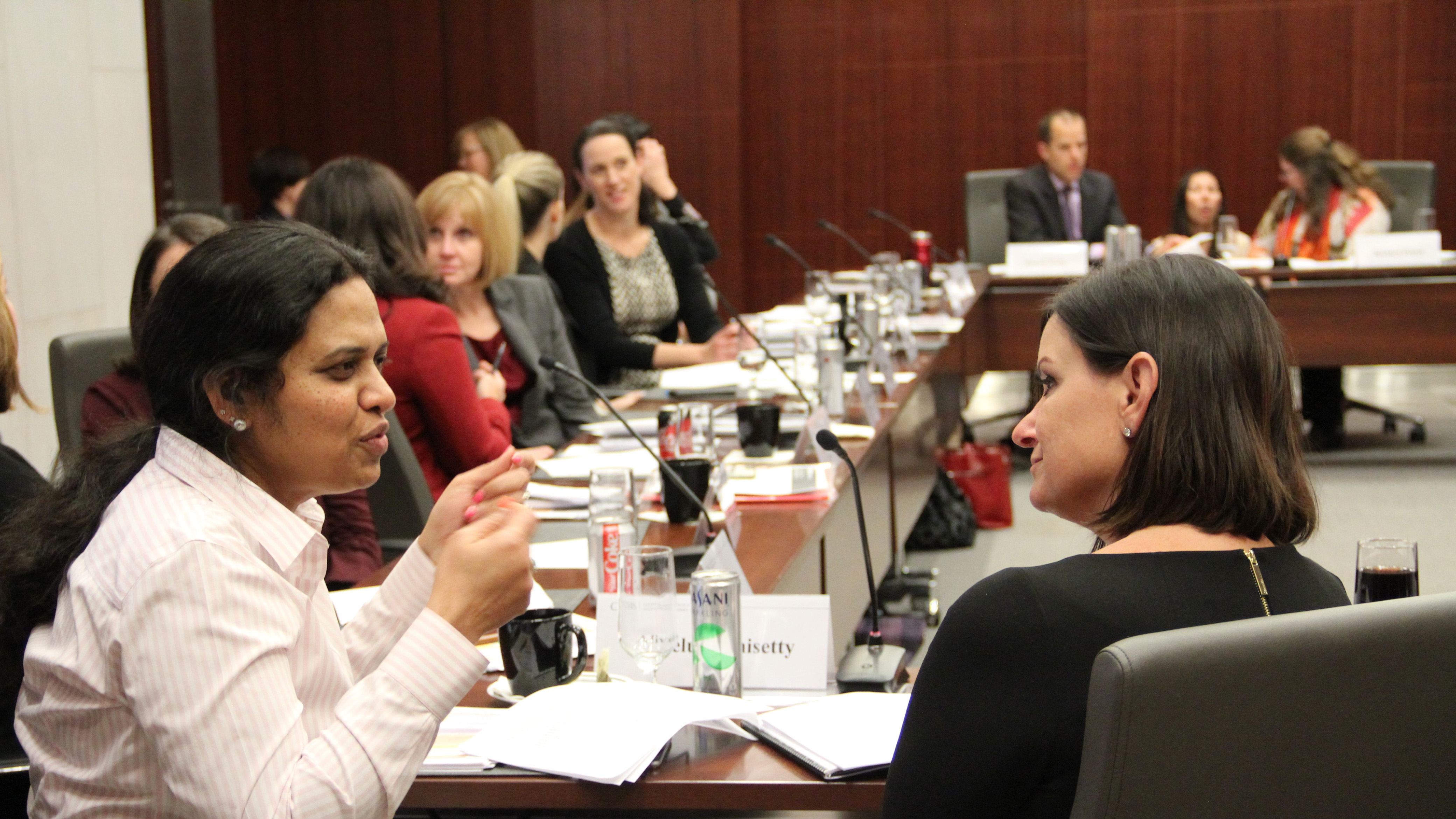 Women's Global Leadership Program