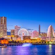 Photo: SeanPavonePhoto/Adobe Stock