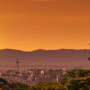 Photo: Paulista/Adobe Stock