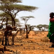  Photo: LUIS TATO/AFP via Getty Images