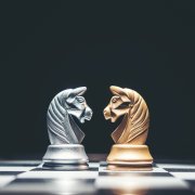 Wargaming: Constructing Simulations and Competitive Strategy Exercises