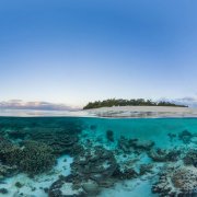 Photo: the Ocean Agency/Adobe Stock