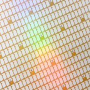 Photo: JENS SCHLUETER/AFP/Getty Images