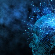 Photo: peshkova / Adobe Stock