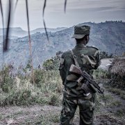 Photo: Erberto Zani via Adobe Stock