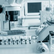 Photo: luchschenF/Adobe Stock