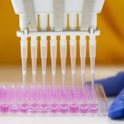 Photo: Matthew Horwood/Getty Images