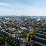 Photo: canart7/Getty Images