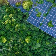 Photo: Dee karen/Adobe Stock