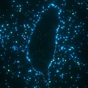 Photo: agratitudesign/Adobe Stock