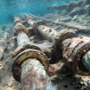 Photo: Alifa Gallery/Adobe Stock