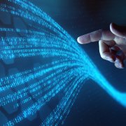 Photo: NicoElNino/Adobe Stock