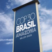 Photo: CURIOS/Adobe Stock