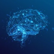 Photo: megavic93/Adobe Stock