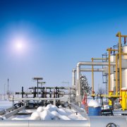 Photo: zorandim75/Adobe Stock