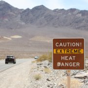 Photo: RONDA CHURCHILL/AFP via Getty Images