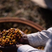 Photo: DOUGLAS MAGNO/AFP/Getty Images