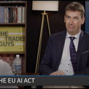 The European Approach to Regulating Artificial Intelligence with MEP Dragos Tudorache, Co-Rapporteur of the EU AI Act