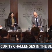Navigating Security Challenges in the Black Sea Region