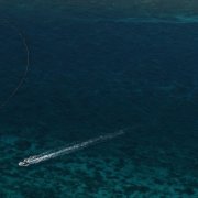 Photo: JAM STA ROSA/AFP/Getty Images