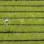 Photo: PATRICK MEINHARDT/AFP via Getty Images