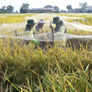 Photo: TED ALJIBE/AFP via Getty Images