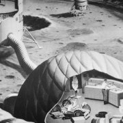 Photo: Bettmann/Getty Images