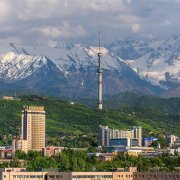 Photo: Max Zolotukhin/Adobe Stock