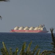 Photo: Shady Alassar/Anadolu/Getty Images