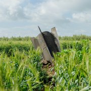 Photo: Erik Marmor/Getty Images