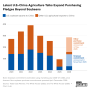 Latest U.S.-China Agriculture Talks Expand Purchasing Pledges Beyond Soybeans
