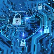 Photo: Michael Traitov/Adobe Stock