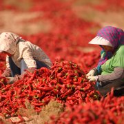 Photo: Que Hure/VCG via Getty Images