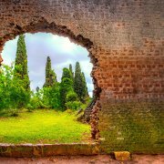 Photo: Adobestock