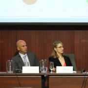 Solar Energy: Adoption and Marketability