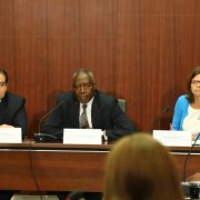 Millennium Development Goals Post-2015: The View from Africa