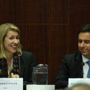 A Discussion with Greek Deputy Minister for Development and Competitiveness Panagiotis Mitarachi