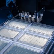 Photo: Ginkgo Bioworks, Inc