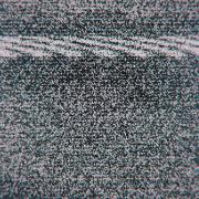Photo: Adobestock