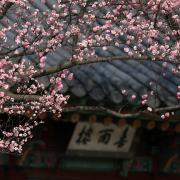 Photo: Republic of Korea/Flickr