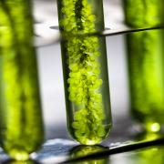 Photo: chokniti/Adobe Stock