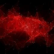 Photo: Maxim/Adobe Stock
