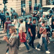 Photo: DedMityay/Adobe Stock