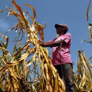 Photo: OSCAR RIVERA/AFP/Getty Images