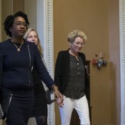 Photo: Zach Gibson/Getty Images