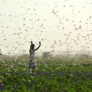 Photo: SHAHID ALI/AFP/Getty Images