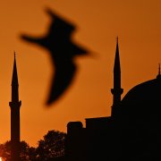 Photo: OZAN KOSE/AFP/Getty Images