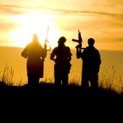 Religious Radicalism after the Arab Uprisings